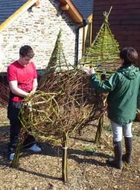 Creative workshop - Willow Sculpture